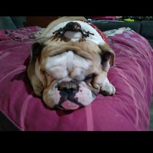 Meet your Posher, Lena